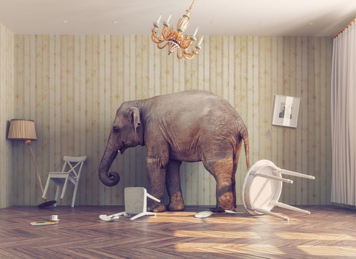6 Interesting and Exciting Ways to Decorate Your Home